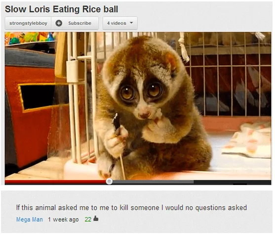 Slow Loris 29 Slow Loris 29