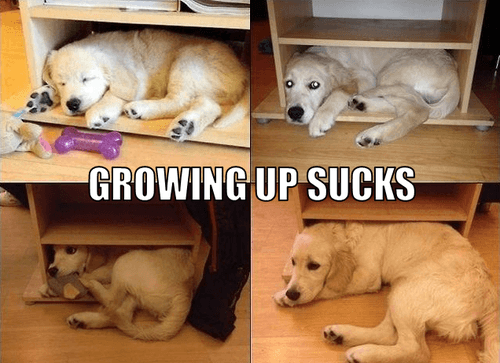 Growing up ... 19 Growing up ... 19