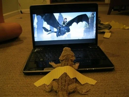 One day i will be a dragon 17 One day i will be a dragon 17
