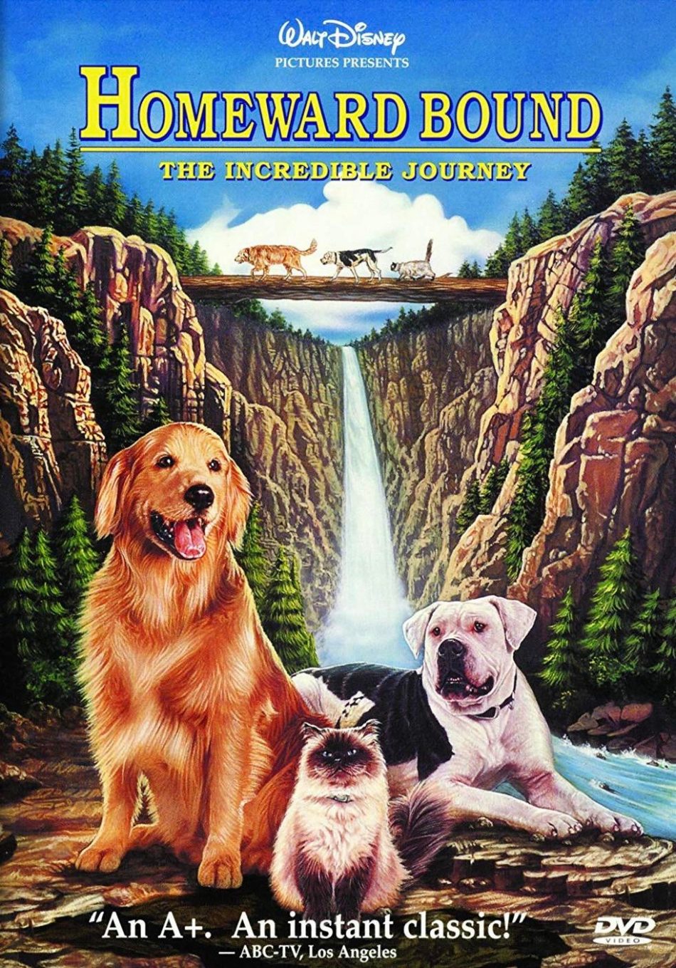 homeward bound full movie free download