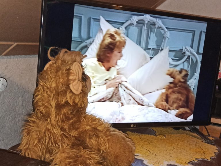 Prime and chill - 90s style (and with social distancing) 51 Prime and chill - 90s style (and with social distancing) 51